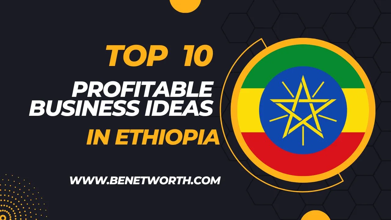 Top 10 Profitable Business Ideas in Ethiopia 2023