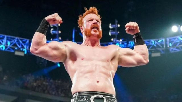 Sheamus Net worth and Biography |  $1.3 million