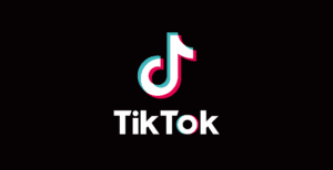 TikTok Net Worth in