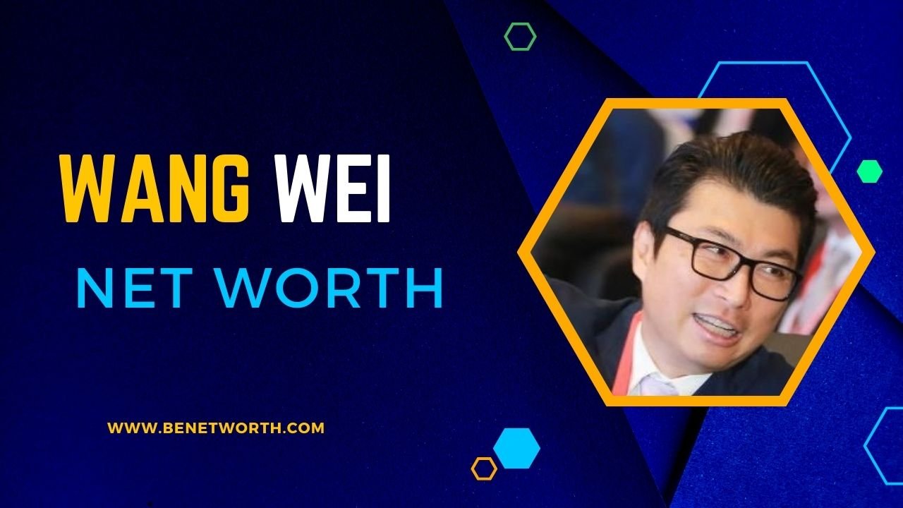 Wang Wei Net Worth