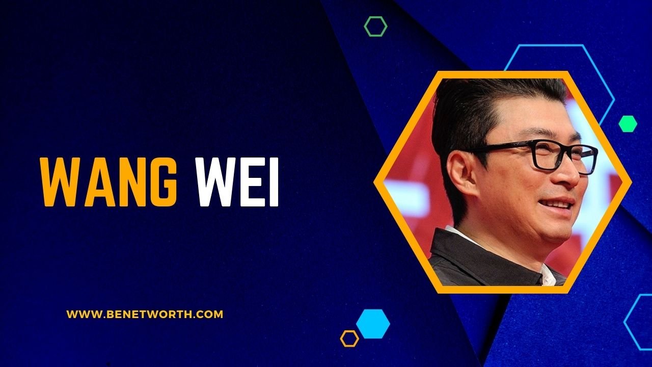 Wang Wei Net Worth 2024